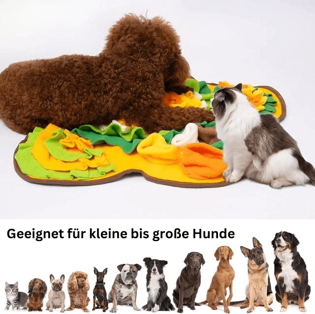 Schnüffelmatte - Verringert die Essgeschwindigkeit Deines Hundes